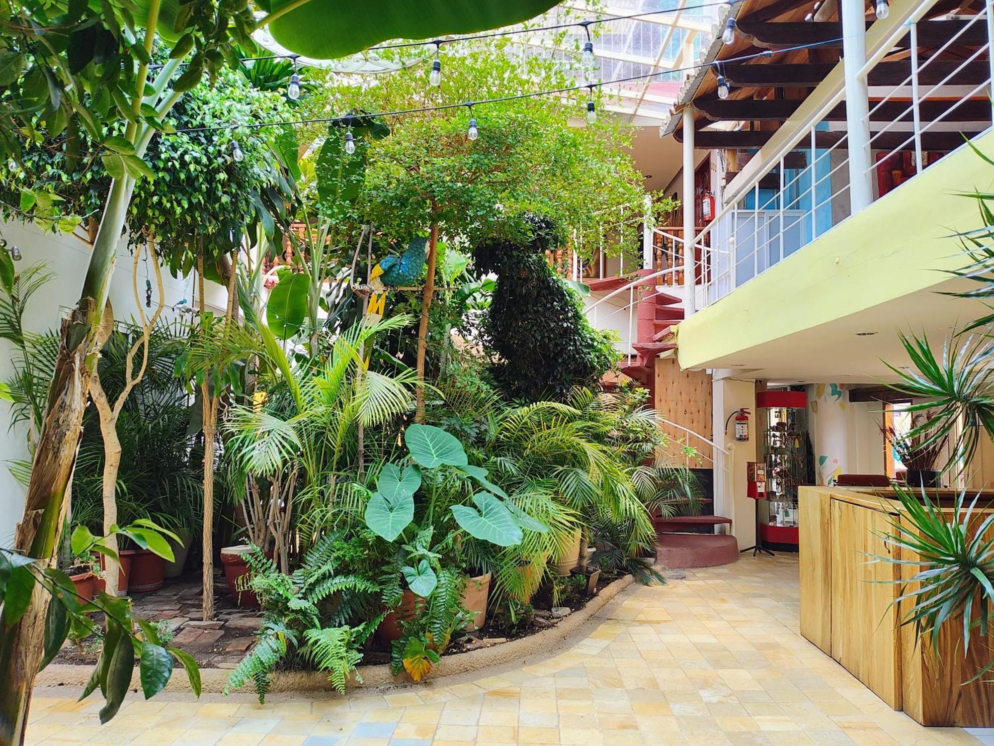 Hotel Barrio Antiguo San Cristóbal de Las Casas Exteriör bild